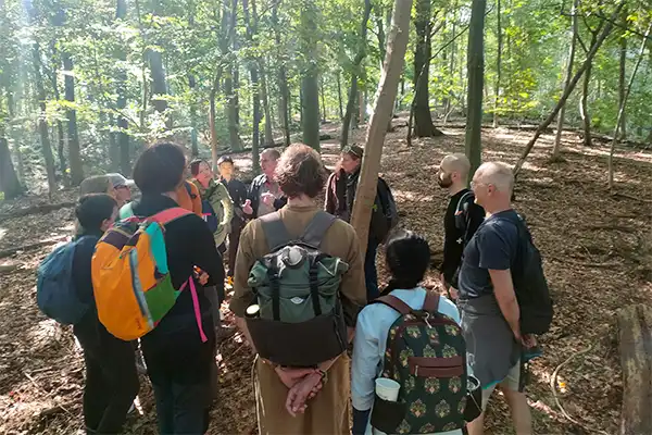 Groep verzamelt zich rond de gids in een lichtdoorlaten bos